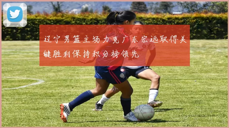 辽宁男篮主场力克广东宏远取得关键胜利保持积分榜领先