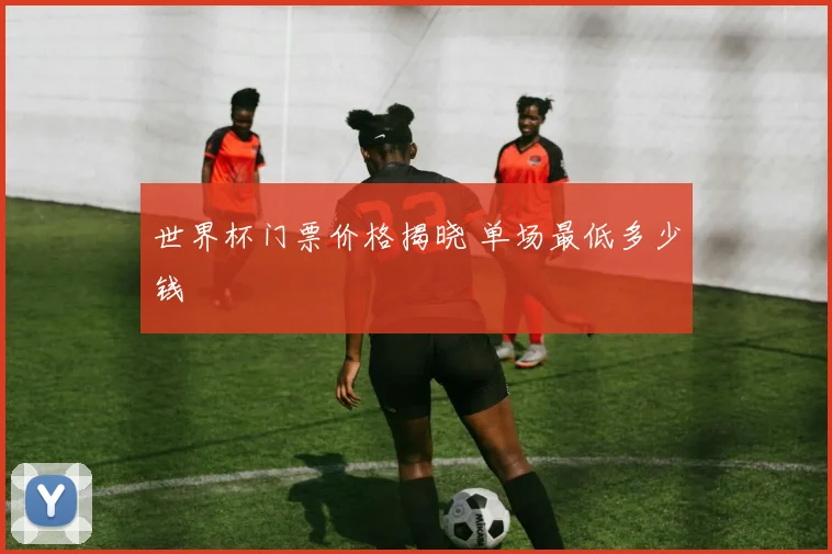 世界杯门票价格揭晓 单场最低多少钱