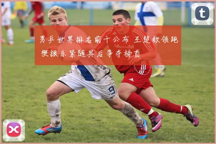 男乒世界排名前十公布 王楚钦领跑 樊振东紧随其后争夺榜首