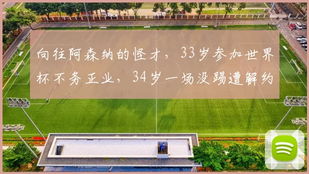 向往阿森纳的怪才，33岁参加世界杯不务正业，34岁一场没踢遭解约
