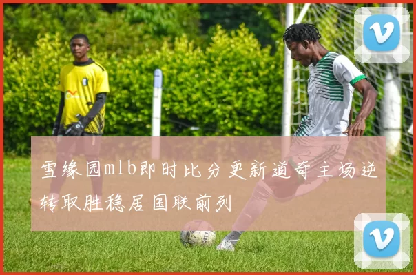 雪缘园mlb即时比分更新道奇主场逆转取胜稳居国联前列