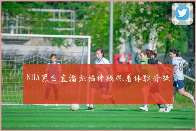 NBA黑白直播无插件线观看体验升级