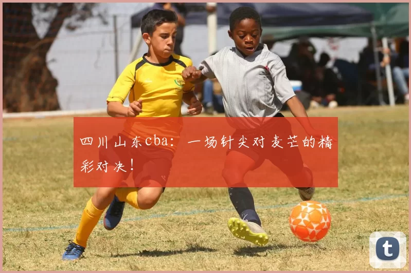 四川山东cba：一场针尖对麦芒的精彩对决！