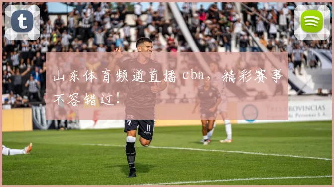 山东体育频道直播 cba，精彩赛事不容错过！